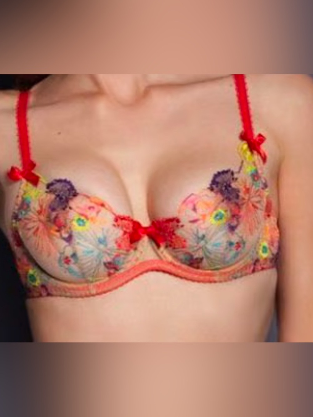 Agent Provocateur Multicolor Floral Embroidered Bra with Red Accents